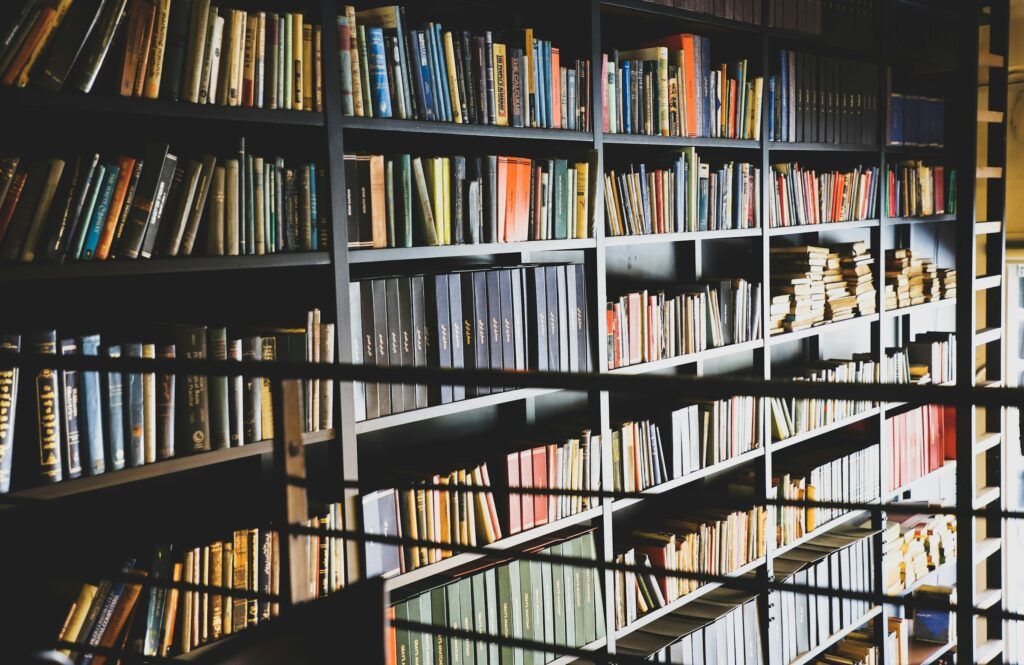 Estanterías de una librería-café con luz natural
