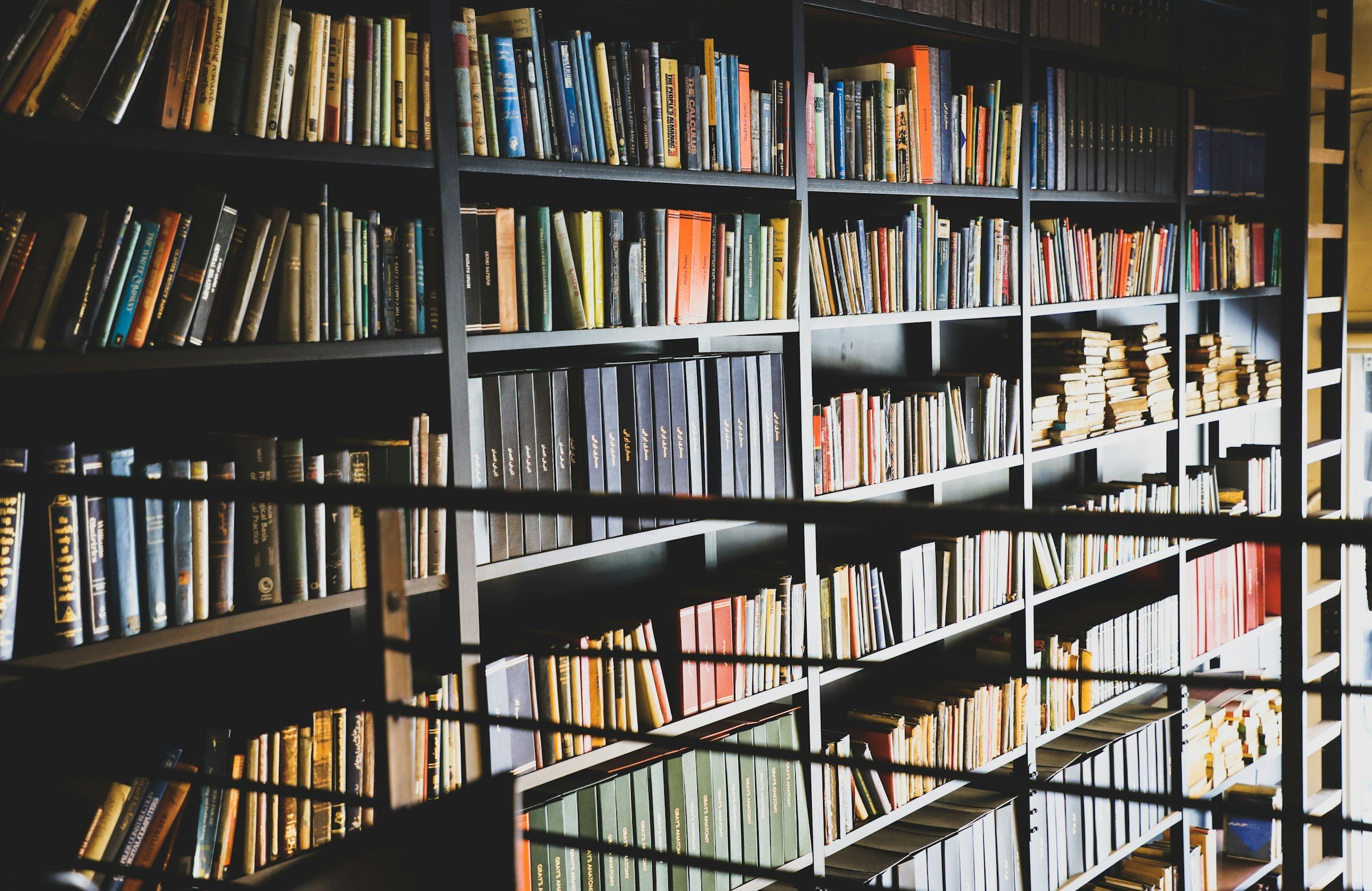 Shelves in a bookshop café with natural light
