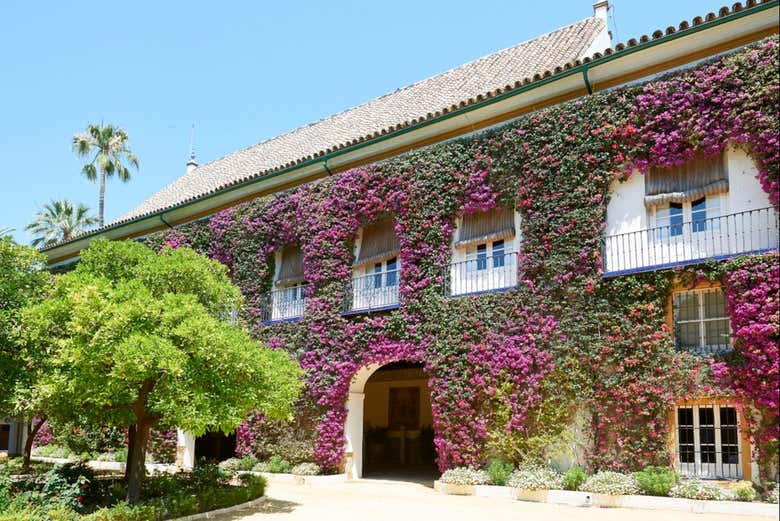 Fachada del Palacio de las Dueñas en Sevilla cubierta de buganvillas, con un patio y palmeras al fondo